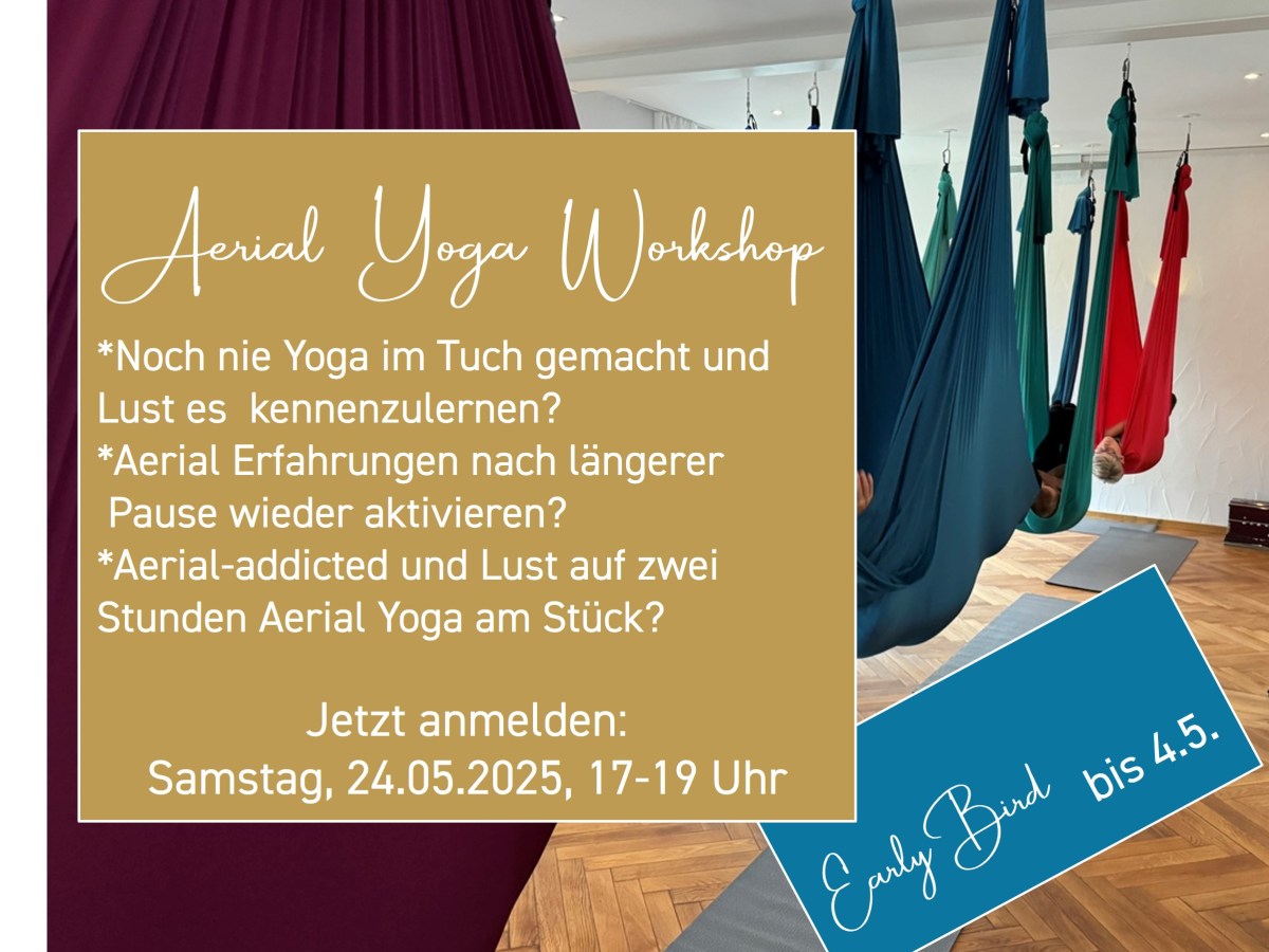 Aerial Yoga Workshop