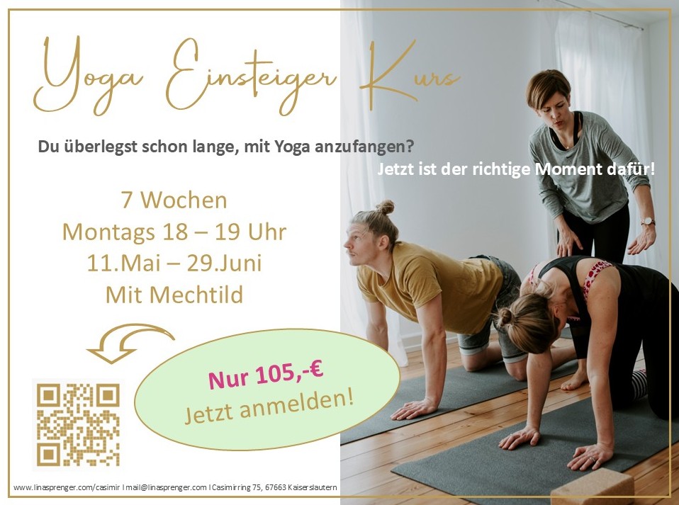 Yoga Einsteigerkurs im Casimir